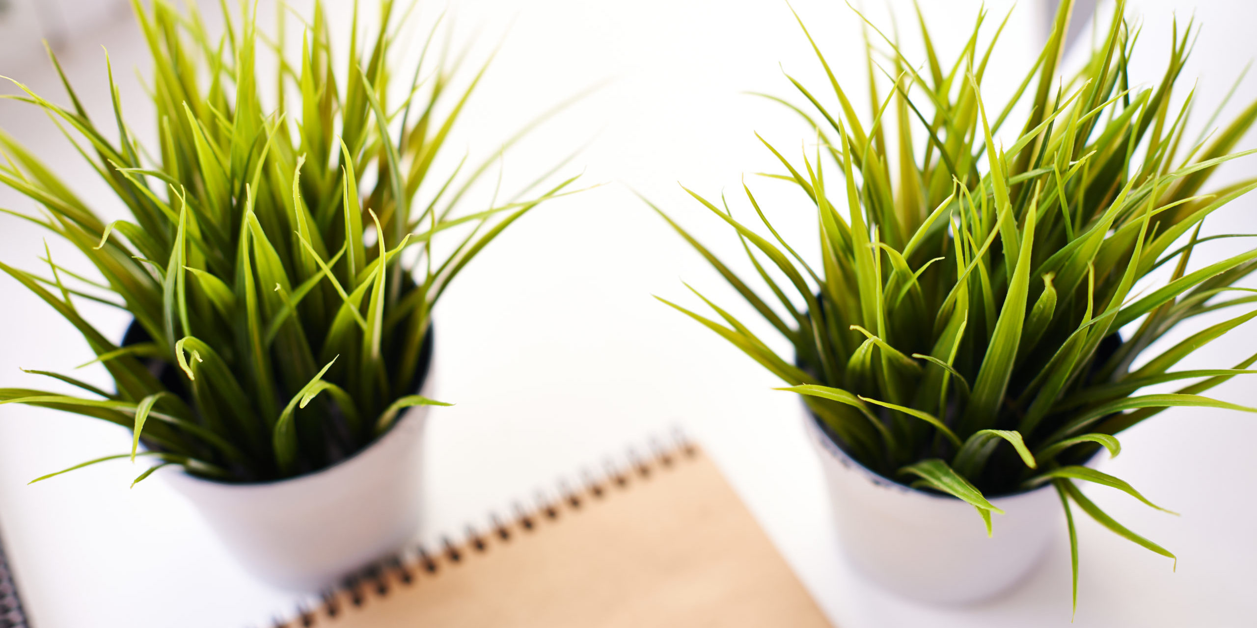 Onsite Health Solutions - Wellness Plans