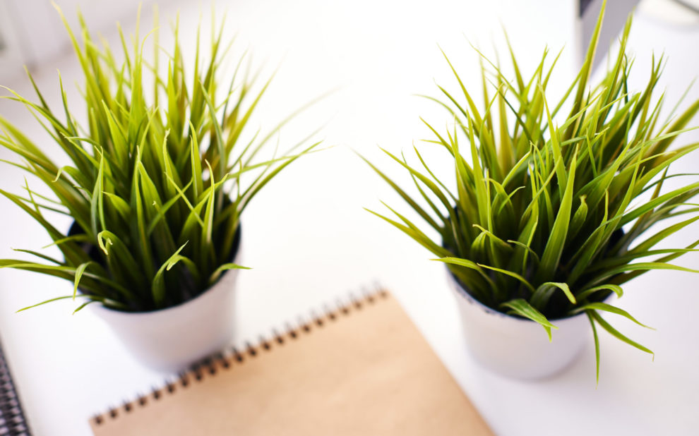 Onsite Health Solutions - Wellness Plans