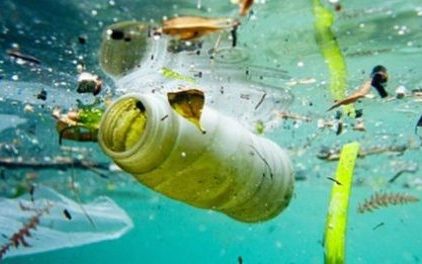 Onsite Health Solutions - Wellness Plans