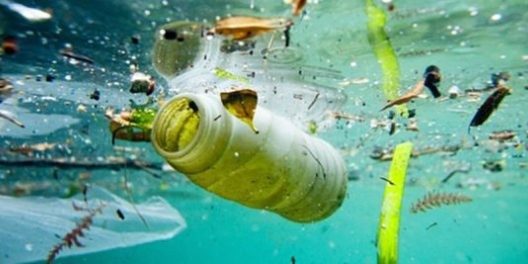 Onsite Health Solutions - Wellness Plans